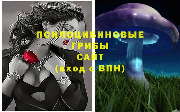 синтетический гашиш Кинешма
