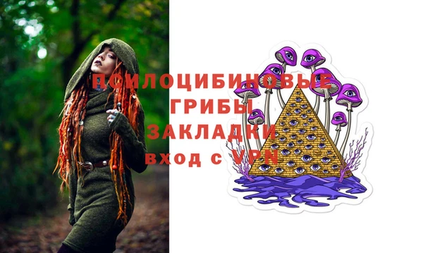 спиды Касимов